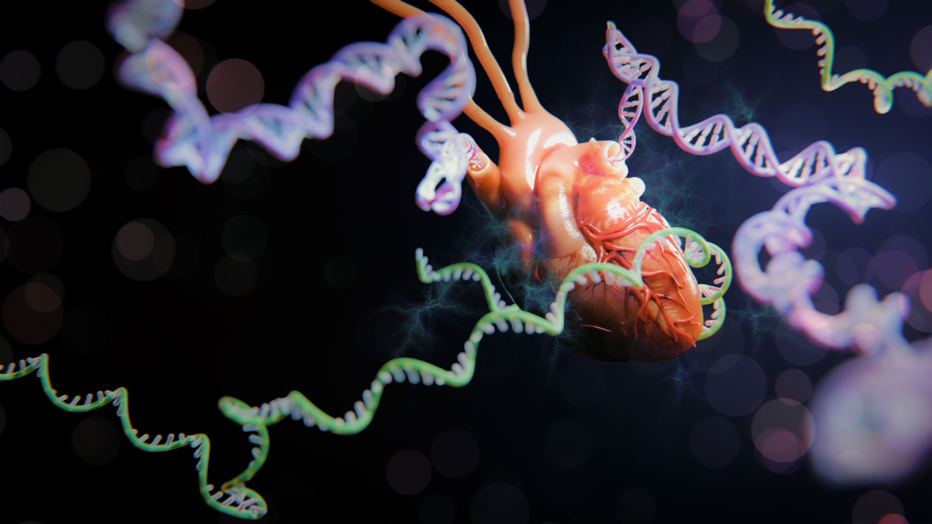 DNA structures assembling into a heart, representing genetics and cardiovascular biology